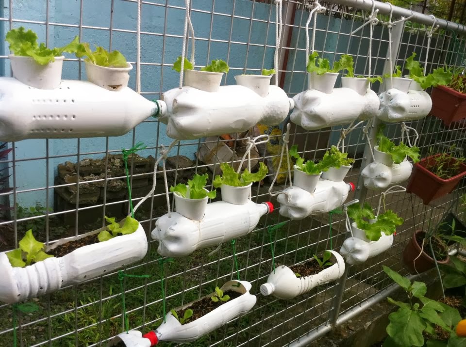 Hydroponics’ Course – Cyprus Agro Industry Center