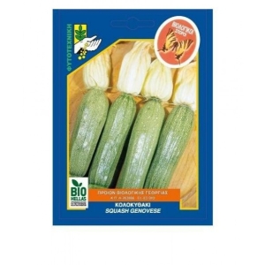 GENEVESE Squash BIO