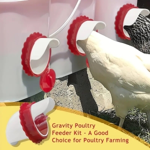 Port Rainproof Chicken Feeder