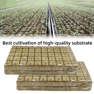 Rockwool Starter Cubes