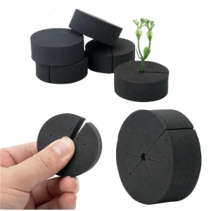 Planting Sponges