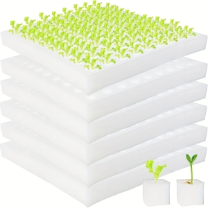 Sponges Planting
