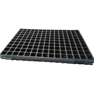Seed tray with 150 holes