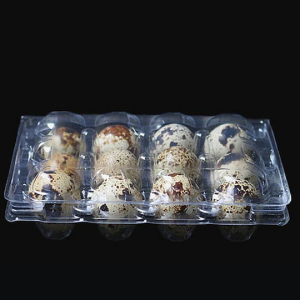 Quail Egg packaging 12 eggs