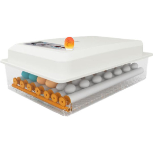 XWK36 Automatic Incubator 36 eggs with Atomization System & Automatic Water Supply Bases